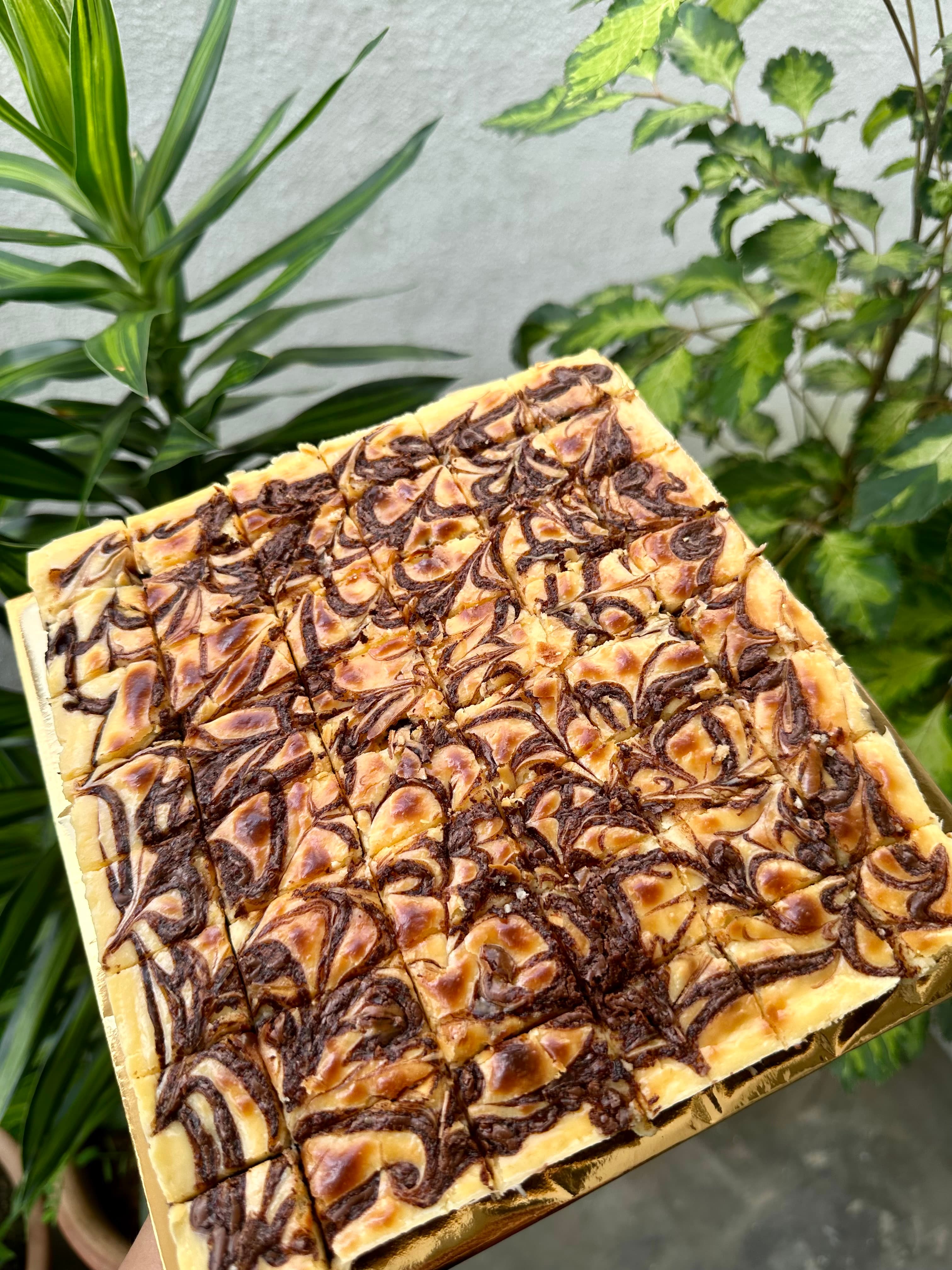 Chocolate Cheese Brownies